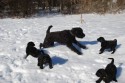Mamma Arisha leker med dom små ute i snön