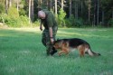 Måste jag verkligen, husse? undrar Junior