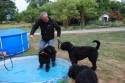 Bad i hundpoolen
