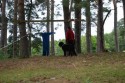 Boris och Dumpen
