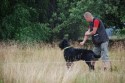 Renko och flocken