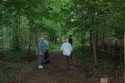 En vy från spår-skogen