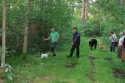 Cleo o husse Palle ska börja att spåra
