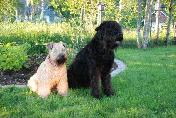 Min lilla mams Kinnie och mormor Lopp dvs Olga