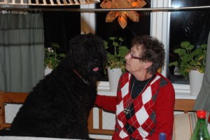 Mormor x2 = Mormor Lopp (Olga) och min mormor Robie