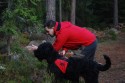 Här riktar husse in Chelva för att söka av ett område