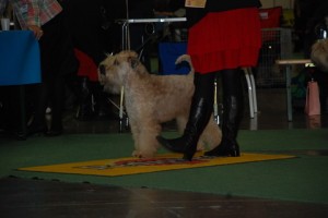 DSC_0100_resize