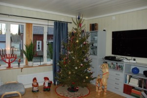 Julgranen i Grimhult