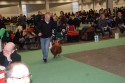 Vår granne Lennart, Kennel Champex Vår granne Lennart, Kennel Champex