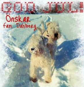 Dahlbergs Dahlbergs