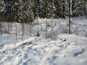 Monkan och Uffes skidor .- nostalgi!!!