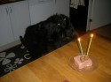 Nitzas födelsedagstårta 2 år!!!