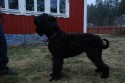 Chelva igen :) Chelva igen :)