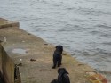 Havet är djupt, havet är djupt ... Och här i trakten håller vi takten räkan till sju... Havet är djupt, havet är djupt ... Och här i trakten håller vi takten räkan till sju...