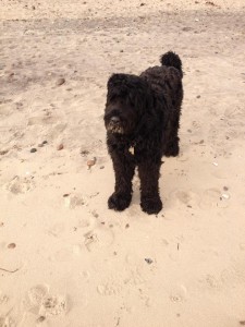Ronja 20140823