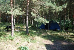 Camp Krüger