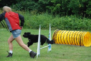 Agility - Benji o Anders